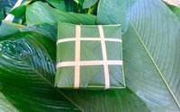 Feuille de Dong entière fraîche pour gâteau Chung enveloppée OEM en vrac feuilles de Dong fraîches pour emballage alimentaire