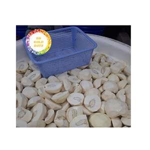 VIETNAM PREMIUM NATUREL CONGELÉ PAYSAGE IQF PROCESSUS DE FRUITS TROPICAUX POUR LA CUISSON DE CUISSON ET L'EXPORTATION EN VRAC EN GROS - Product Image 5