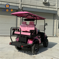 Voiture de golf rose personnalisée 2+2 places, buggy de golf, batterie au lithium, voiture de golf électrique, véhicule utilitaire, buggy
