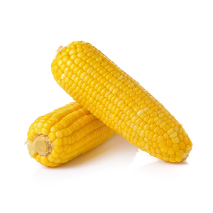 Oferta de fábrica: Maíz amarillo premium seleccionado para suministro al por mayor - Product Image 3