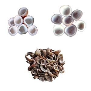 Copra de Coco Seca de la Mejor Calidad, 100% Natural, con Alta Calidad y Buen Precio, de Indonesia - Product Image 4