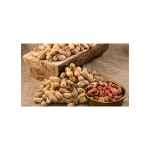 Mejor Precio en Cacahuetes Rojos Secos Crudos de Canadá, Disponibles en Grandes Cantidades con Empaque Personalizado - Product Image 4