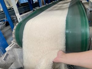 ตลาดข้าวตะวันออกกลาง ราคาดีที่สุด ข้าวหอมมะลิออร์แกนิคเกรดพรีเมียม เมล็ดยาว เวียดนาม เตียนเจียง ข้าวแห้ง เนื้อเหนียวแน่น ขายส่ง เบลล์ - Product Image 5