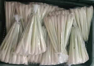 IQF Frozen Lemongrass: Naturally Aromatic and Fresh Whole Stalks for Wholesale Use in Culinary and <b>Tea</b> Production. - Product Image 5