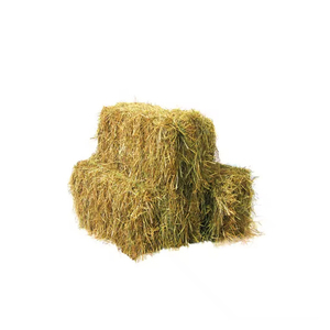 Herbe de foin de luzerne de qualité pour l'alimentation des animaux Luzerne/foin de luzerne - Product Image 2