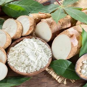 AMIDON DE TAPIOCA NATUREL MODIFIÉ EN GROS NETTOYÉ DE QUALITÉ ALIMENTAIRE/INDUSTRIELLE, Offre Spéciale DE HAUTE QUALITÉ, TRÈS BON MARCHÉ pour L'EXPORTATION en VRAC - Product Image 1