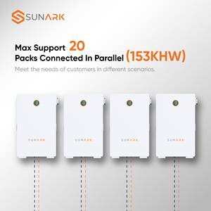 Batteria <span class=keywords><strong>al</strong></span> <span class=keywords><strong>Sodio</strong></span> Sunark 48V 160Ah 7.68kWh per Progetti di Accumulo Energetico Solare in Hotel e Resort, Sostenibile - Product Image 6