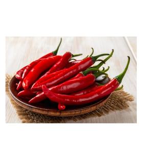 Order Bulk Chili Peppers in Wholesale Quantities for Your Business at Discounted Prices for Maximum Profit - Product Image 6