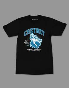 เสื้อยืดมหาวิทยาลัยเชนีย์ คัสตอม คอลเลจ ยูนิเซ็กซ์ ผ้าฝ้าย 100% พิมพ์ลายสกรีน สไตล์สตรีท โลโก้สั่งทำได้ เสื้อผ้า OEM - Product Image 1
