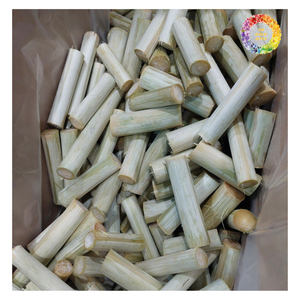 Frozen Sugarcane <b>Sticks</b> 20kg, Premium Frozen Sugarcane for Juice Extraction For Export, Hot Sales BQF Frozen Sugarcane Juice - Product Image 5