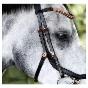 All Purpose Custom Made Imported Quality Horse Leather Bridle Smart Lumiere <b>Equestrian</b> Aria Anatomic Leather Bridle - Product Image 2
