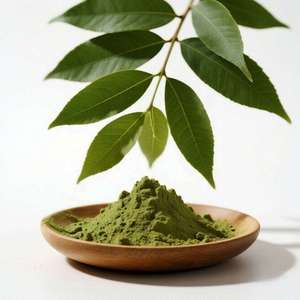 Polvo de Neem Puro para Infusión de Aceite Nasya Ayurvédico y Apoyo para la Salud de los Senos Nasales, Tratamiento Herbal Natural para una Respiración Clara - Product Image 5