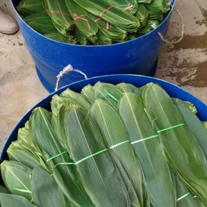 Feuilles de bambou séchées propres pour la préparation alimentaire de qualité export - Product Image 4