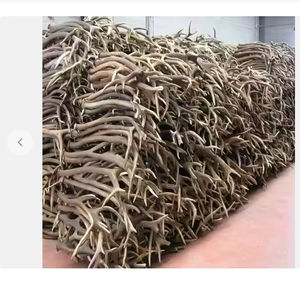 Bois de cerf rouge entier naturel 790 grammes de produit d'extrait d'animal - Product Image 1