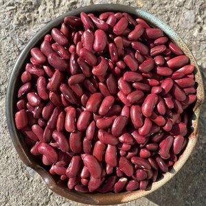 Achetez des haricots rouges de qualité supérieure, livraison rapide, profitez d'une cuisine saine, haricots riches en protéines pour toutes les recettes, meilleure offre de réduction - Product Image 2