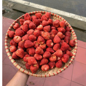 Trozos crujientes de fresa de Vietnam hechos con cuidado, satisfactorios para entusiastas de los bocadillos y minoristas - Product Image 2