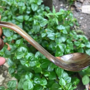 ช้อนเขาควายธรรมชาติ ทำด้วยมือและขัดเงา เหมาะสำหรับเสิร์ฟเครื่องเทศ น้ำจิ้ม หรือใช้ตกแต่งโต๊ะอาหาร คุณภาพสูง - Product Image 1