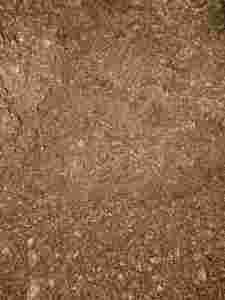Support de culture de mousse de tourbe naturelle optimisé pour l'aménagement paysager professionnel Literie pour volailles de gazon de stade - Product Image 2