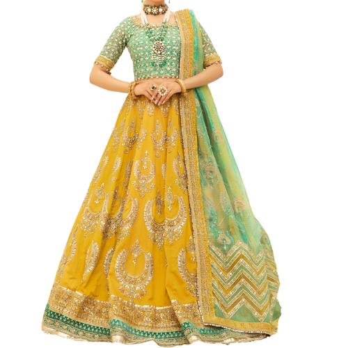 open lace back dress Republic Womens Wear, E-52 Pakistani indian wedding bridal dress, mehndi  nikkah outfit guest clothes  Pakistani Designer Dresses