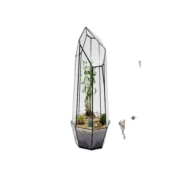 Decoratieve Terrarium Voor Planten Nieuwe Grote Beste Kwaliteit Design Decoratie Fancy Planten