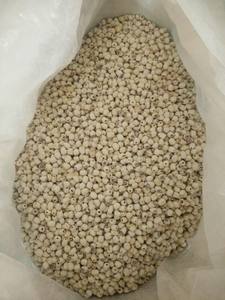 เมล็ดบัวแห้งธรรมชาติขายส่ง เมล็ดบัวขาวจากเวียดนาม - Product Image 2