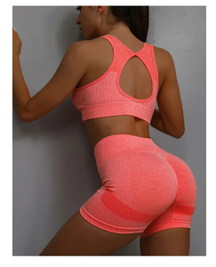 Wholesale Custom logo 2pcs Yoga Sets Womens Outfits Sports <b>Bra</b> Quick Drying Shorts Set Female - Product Image 4