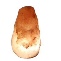 Lampe décorative en sel de roche himalayen blanc, cristal naturel sculpté, Feng Shui, pour chambre, bureau, table, lumière douce, relaxation, bien-être