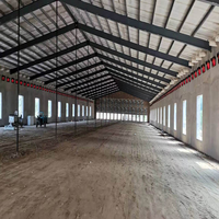 Grande capacité de chargement Structure en acier préfabriquée fermes élevage de poulets poulailler d'élevage de volailles couche de poulailler