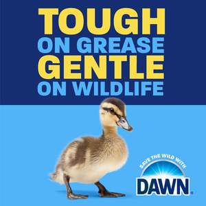 Jabón Líquido para Platos Dawn Ultra, Original, Recarga de Jabón Líquido para Platos, Paquete de 24 Onzas Líquidas (Paquete de 8) - Product Image 3