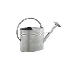 Vente chaude fer arrosoir de haute qualité sans rouille outils de décoration de jardin fournitures couleur gris naturel personnaliser Design logo - Product Image 1