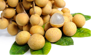 ลำไยแห้งเมกง รสชาติหวานธรรมชาติจากเวียดนาม - Product Image 2