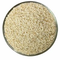 Graines de sésame blanches décortiquées de qualité supérieure, naturelles, brutes, 100 % pures, écologiques, origine Royaume-Uni, prix de gros