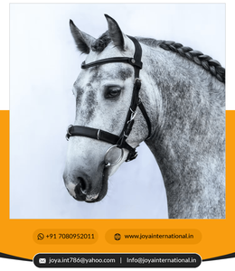 Brida de caballo portátil multifuncional personalizada con nombre de logotipo de marca OEM 2022 en marrón con placa de identificación de cuero personalizada - Product Image 4