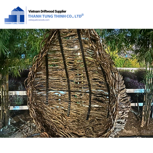 High Demand Eco-Friendly <b>Aquarium</b> Plants Mangrove <b>Driftwood</b> International Logistics Made In Vietnam - Product Image 5