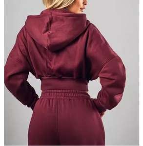 Sweat à capuche élégant pour femmes Mode Streetwear OEM Logo personnalisé Fabricant fournisseur - Product Image 3