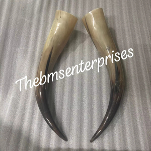 Par de cuernos de ganado reales, par de cuernos de ganado decorativos, par de cuernos de ganado vintage, cuernos de ganado antiguos, pares de cuernos de decoración del hogar - Product Image 1