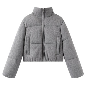 Printemps/automne nouvelle femme col montant Slim Fit doudoune femmes mode dégradé Ultra léger vers le bas - Product Image 1