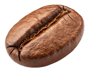 Granos de Café Arábica Orgánico Premium Tostado, Proceso Honey, Venta al por Mayor, Café Especial de Alta Demanda - Product Image 1