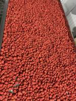 Premium Kwaliteit Gedroogde Aardbei En Gevriesdroogd Fruit Groothandel Van Natuurlijke, Gezonde Snacks Voor Wereldwijde Kopers