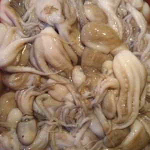 กล่องปลาหมึกสำหรับเด็กในทะเลแช่แข็งขนาดใหญ่พร้อมส่งออก - Product Image 3