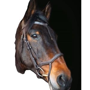 Bride équestre en cuir doublé doucement et bande de nez en acier inoxydable pour l'équitation - Product Image 1