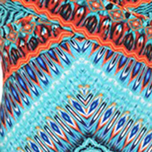 2022 New Arrival Eco-Friendly Retro Print 1-Piece Women's Tassel Bikini Beachwear High Cut Bottom Round Neck Front Logo Waist - Product Image 6