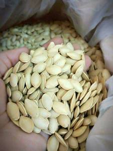 ผู้ผลิตขายตรงจากโรงงานคุณภาพดีผู้ผลิตเมล็ดฟักทองสดธรรมชาติออร์แกนิก 100% - Product Image 5