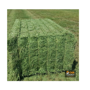 Rhodes, foin d'herbe séchée économique, nutrition optimale, alimentation animale pour bétail, cheval, cochon, poisson dans des sacs - Product Image 1