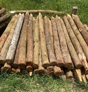 High Quality Wood <b>Pillars</b> for Garden Supplies Best Price for Whole Sale - Product Image 2