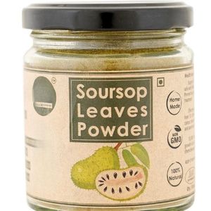 Feuilles de Corossol séchées Feuille de Graviola Feuilles d'Annona Muricata de qualité supérieure pour le monde entier Poudre d'extrait de feuilles de Corossol naturel du Vietnam - Product Image 2