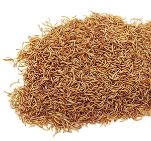 หนอนอาหารแช่แข็งขายส่งส่งถึงประตูบ้านคุณแล้ว - Product Image 4