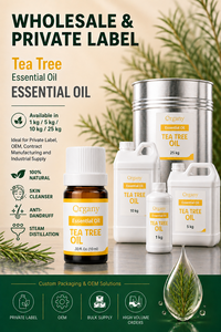 Aceite Esencial Puro de Árbol de Té (Melaleuca Alternifolia) Destilado al Vapor, Venta al por Mayor, Marca Privada, OEM, Cosmético para Acné, Piel y Cuero Cabelludo, ODM - Product Image 3