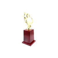 Trophée Étoile en Métal Durable, Écologique, Style Sportif, Gravure Personnalisée, Célébrant les Performances Exceptionnelles