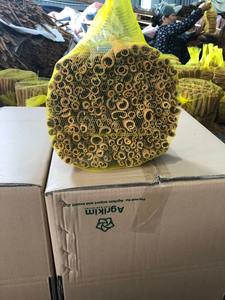 Hierba de canela Cassia de calidad superior 8cm Palo Seco dulce picante de Vietnam WS + 84 865216698 - Product Image 3